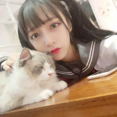 29天生存游戏破解版下载